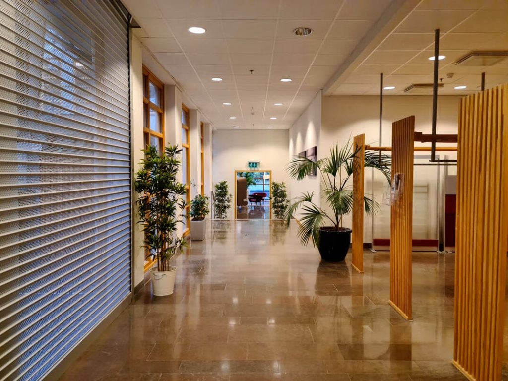 office space with multiple potted plants