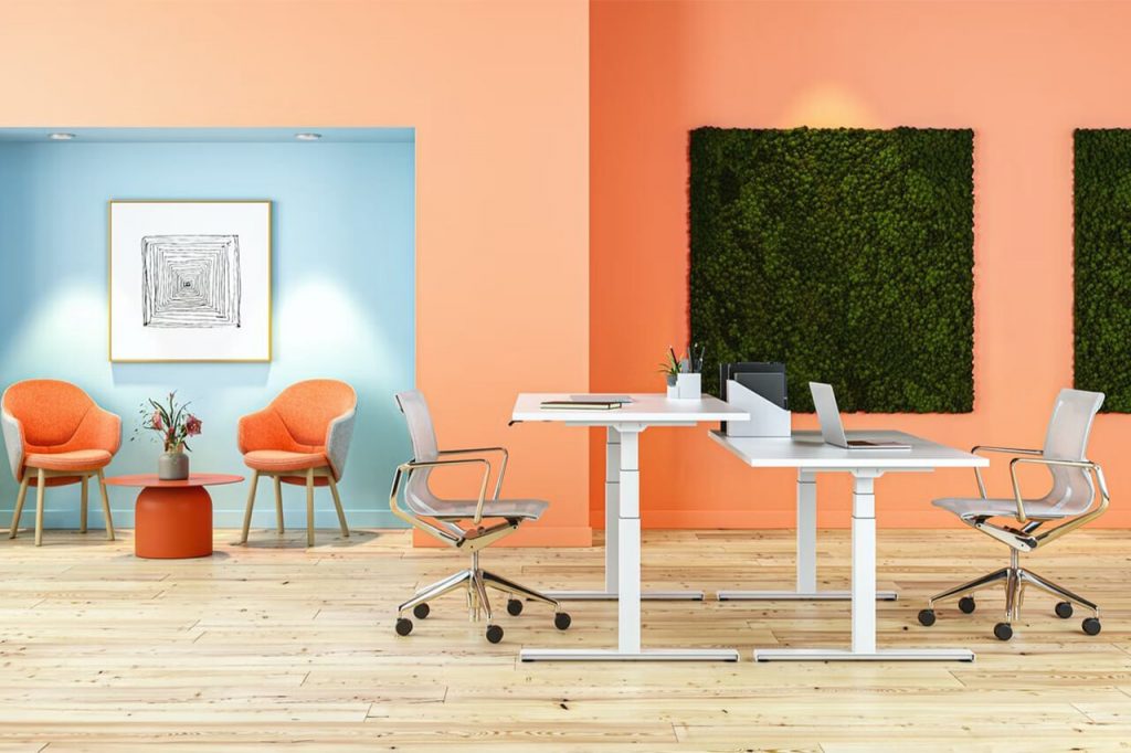 office space with brightly coloured walls