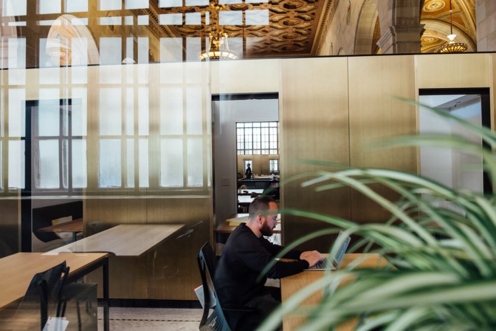 person working on laptop, partially obscured by plant